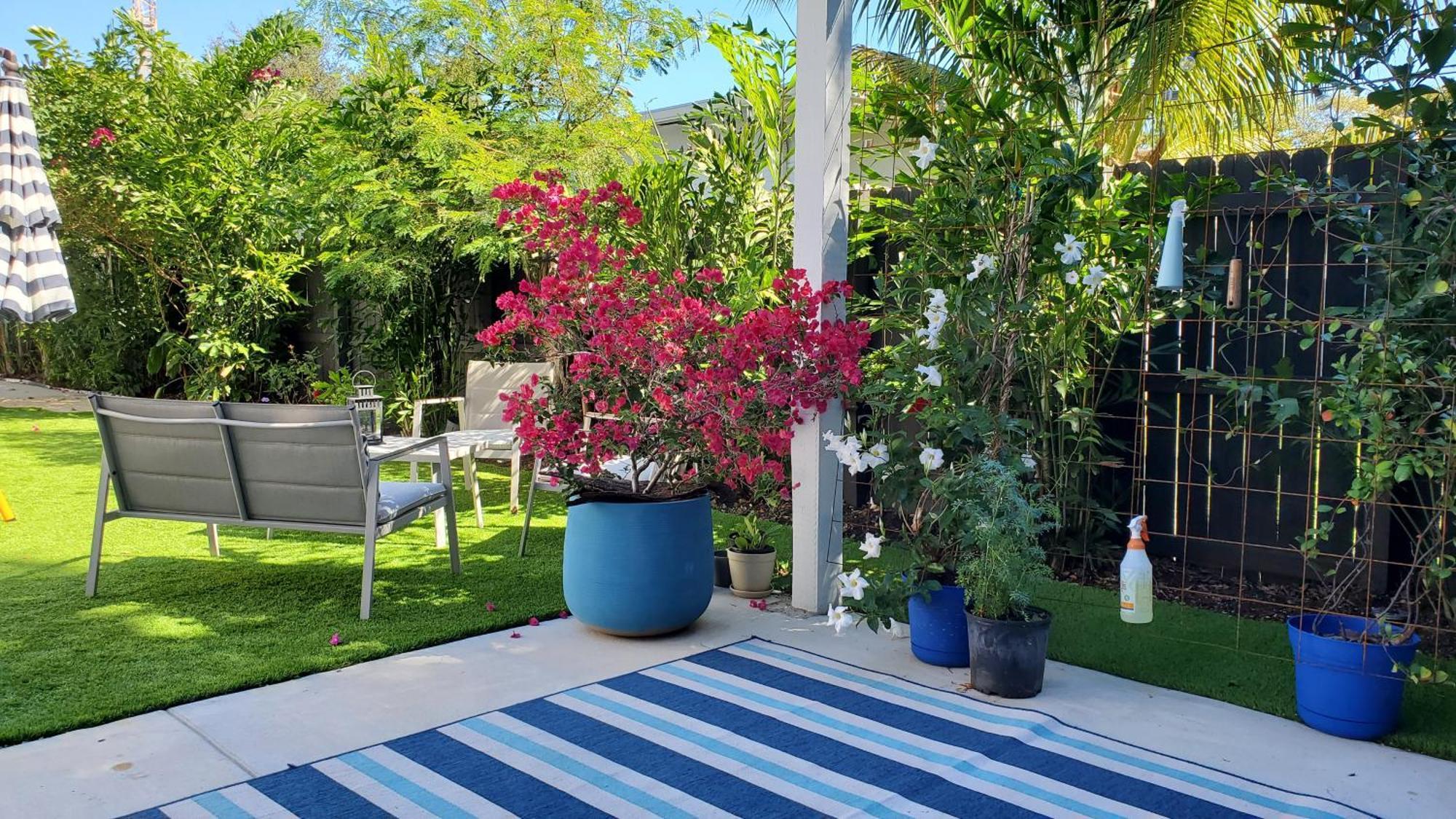 Casa Cuba In Little Havana, Brickell, Calle 8 And 10 Minutes To The Beach Free Parking Miami Exteriör bild